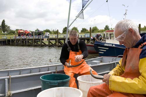 Moerdijk - Haven  border=