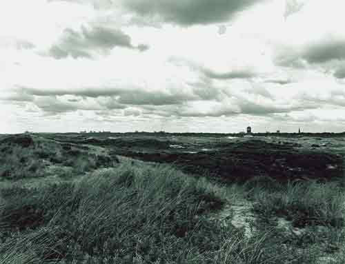 Duinen bij Monster