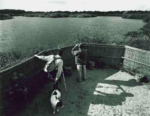 Quakjeswater Rockanje