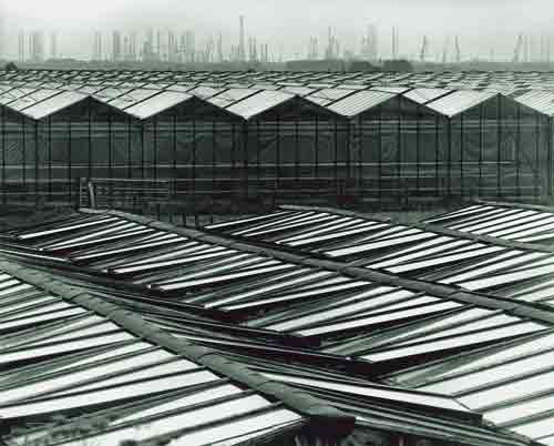 Westland glazen stad